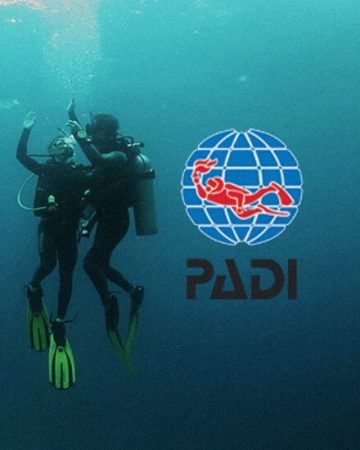 2) PADI Open Water Diver